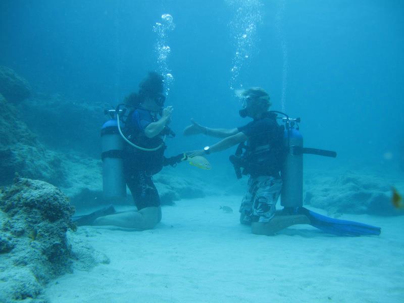 Top Keywords for Cayman Dive Industry