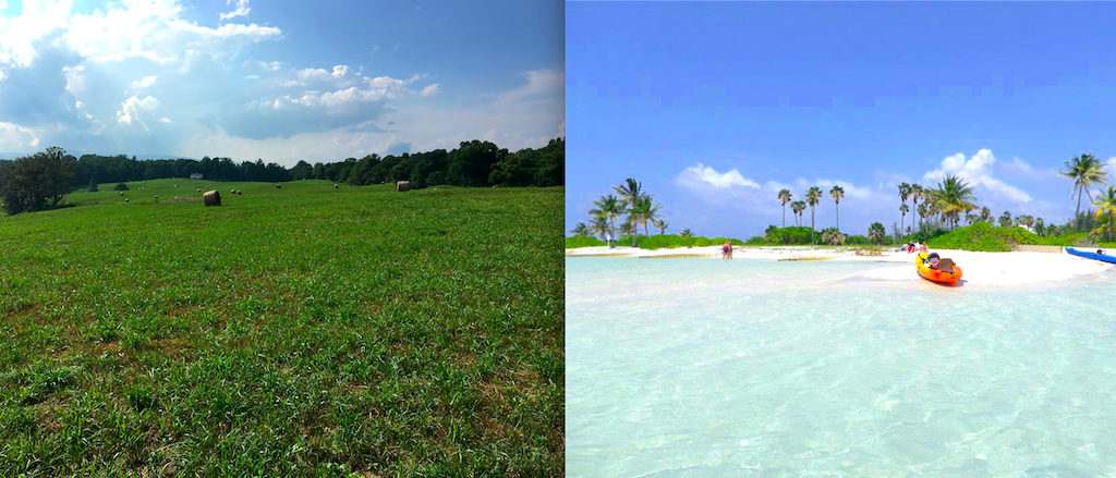 Similarities b/w Northern Virginia and the Cayman Islands