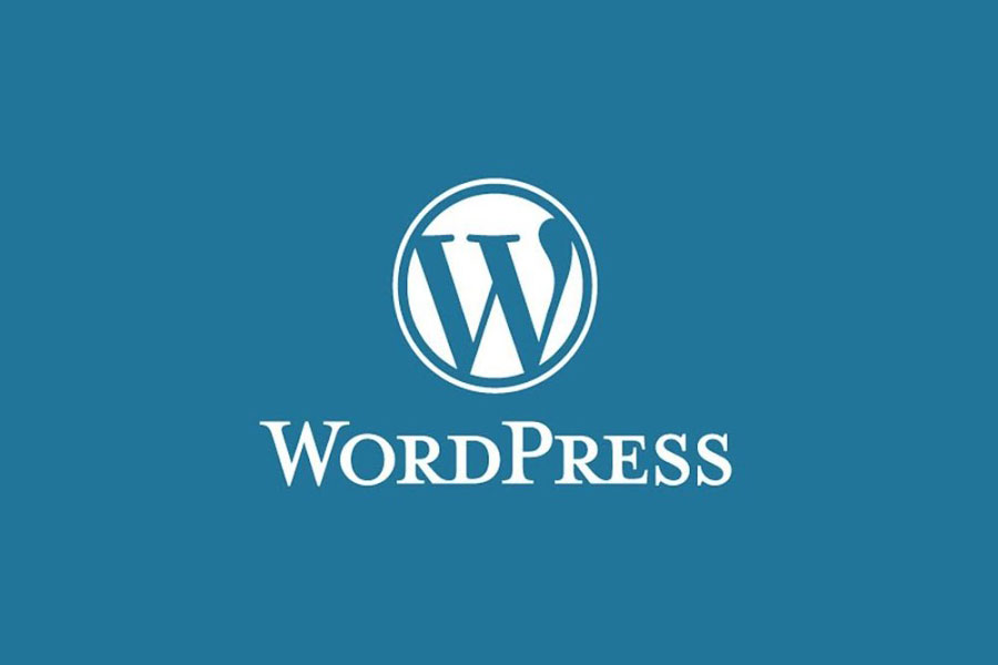 Should you update your WordPress version with every new release?
