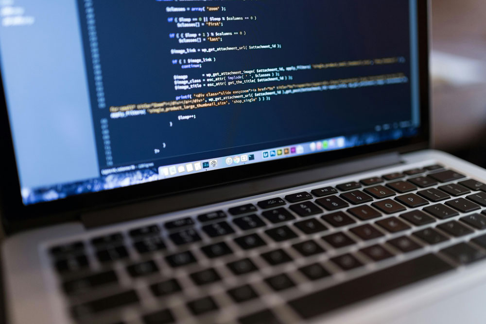WP Plugin Development Services: Custom WordPress Plugins That Grow With Your Business